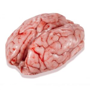 Frozen pig brain