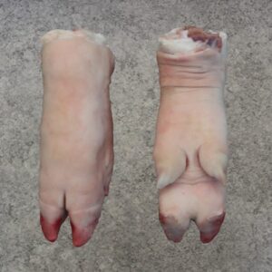 Wholesale Frozen Pig Front trotters